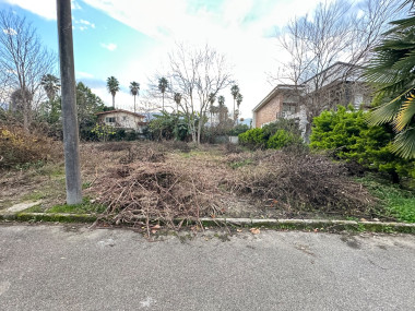 خرید زمین شهرکی زیر قیمت در نوشهر دهکده صلاح الدین کلا