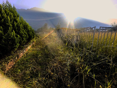 خرید زمین 1700 متر در چلک نوشهر