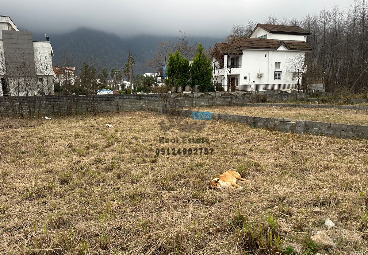 خرید زمین در شمال – فرصت طلایی سرمایهگذاری در چلک نوشهر خرید زمین در شمال – فرصت طلایی سرمایهگذاری در چلک نوشهر