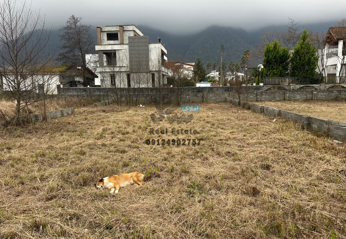 خرید زمین در شمال – فرصت طلایی سرمایهگذاری در چلک نوشهر خرید زمین در شمال – فرصت طلایی سرمایهگذاری در چلک نوشهر