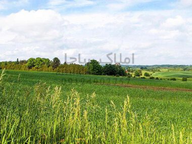 تغییر کاربری ساختمانی