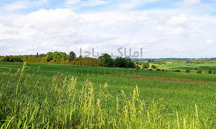 تغییر کاربری ساختمانی